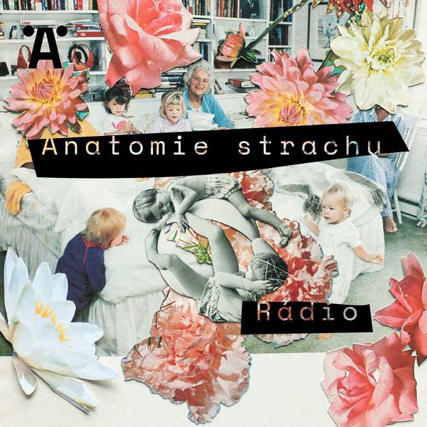 Anatomie strachu